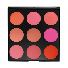 Best Blush Palette